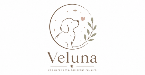 Veluna Studio
