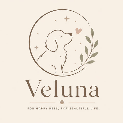 Veluna Studio